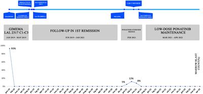 Case report: Ponatinib as a bridge to CAR-T cells and subsequent maintenance in a patient with relapsed/refractory Philadelphia-like acute lymphoblastic leukemia